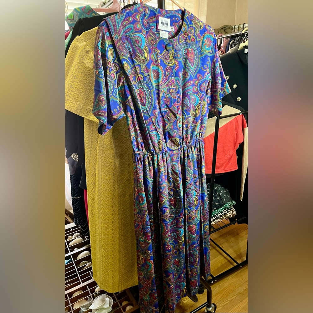 Leslie Fay Vibrant Paisley Long Sleeve Dress
